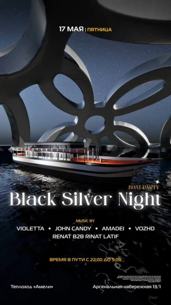 Black Silver night